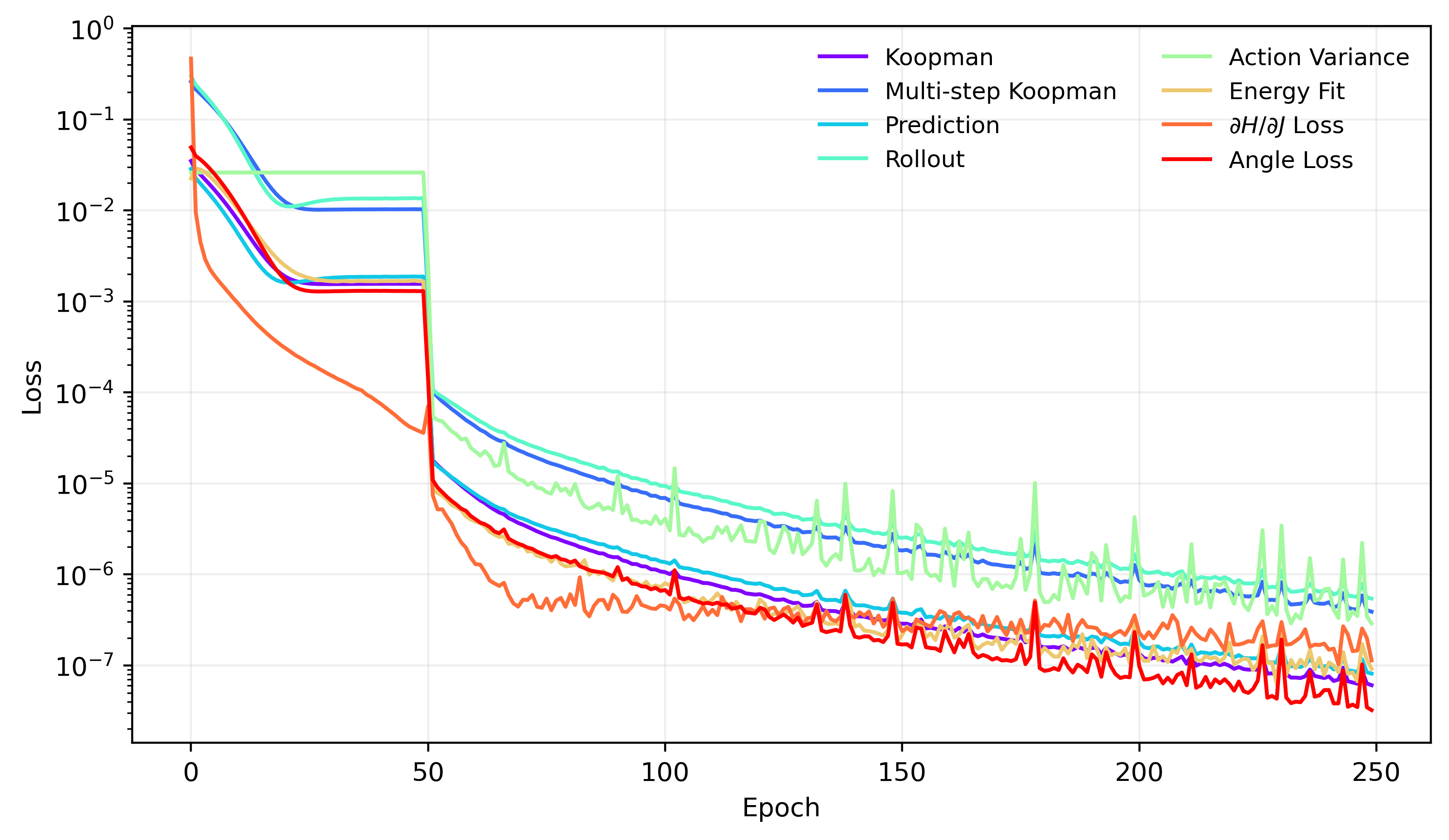 Training loss curves for the harmonic oscillator model